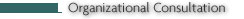 organizational consultation in leadership development, professional development and board development