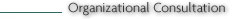 organizational consultation in leadership development, professional development and board development